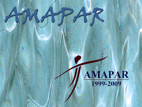Presentación de AMAPAR